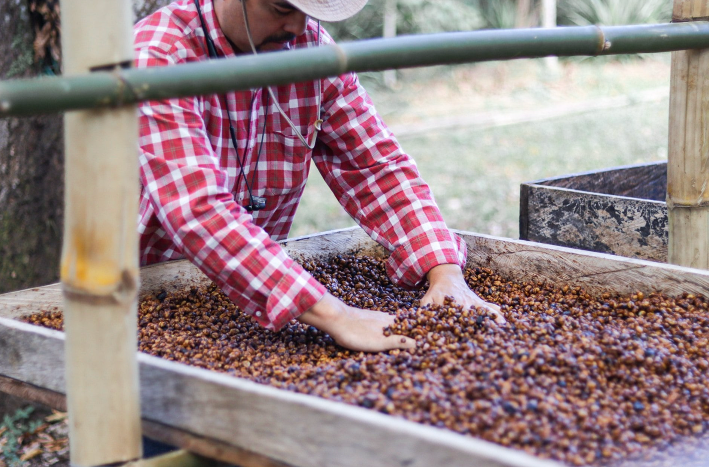 Exploring Agro-Tourism: A Unique Way to Experience Farming and Culture