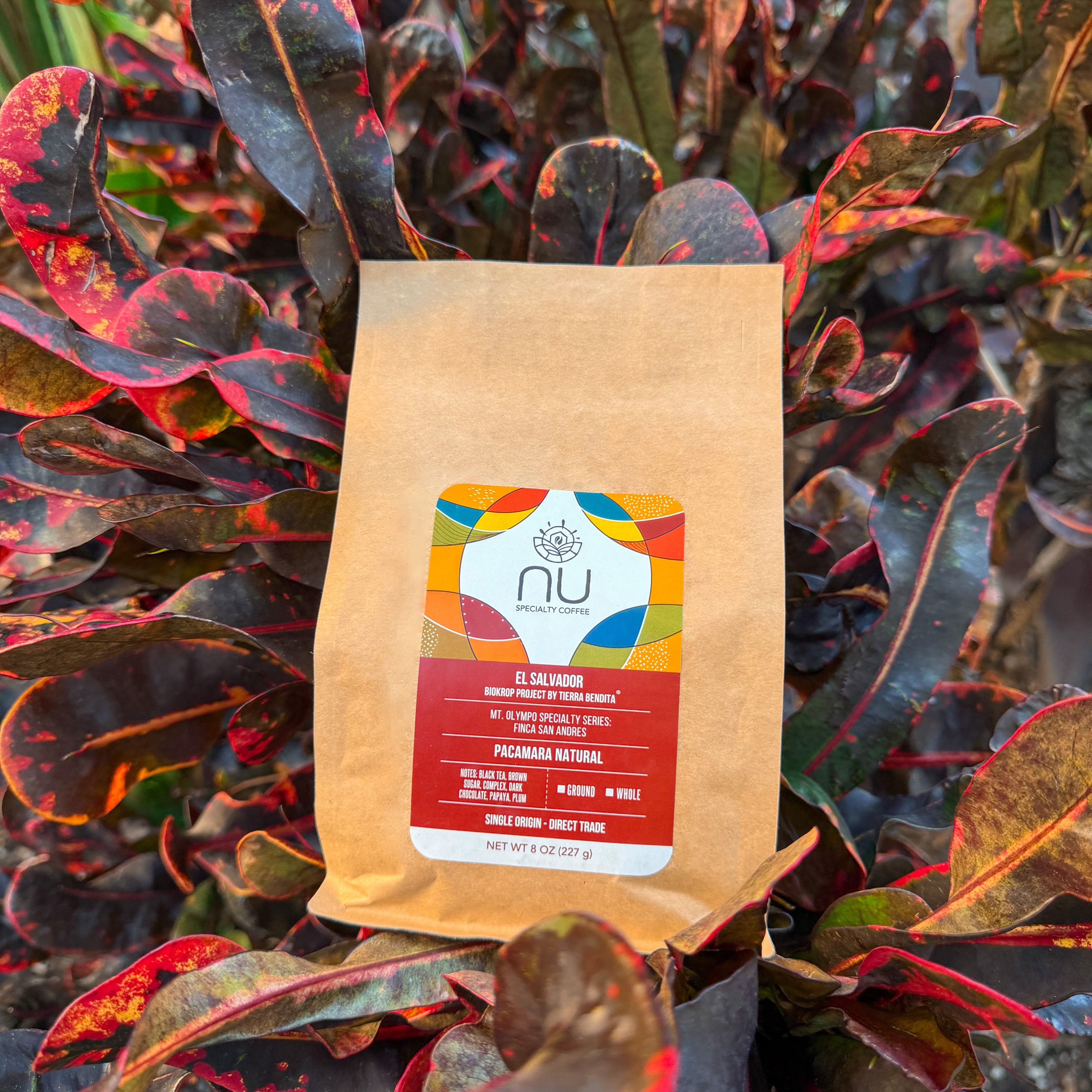 Single Origin - Pacamara Natural