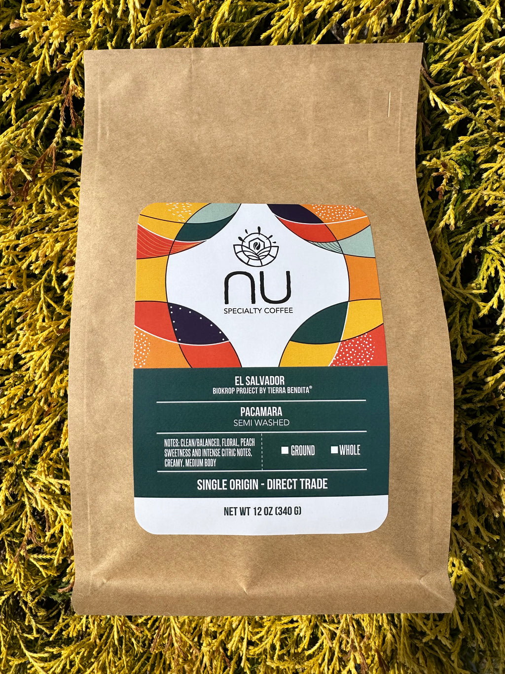 Single Origin - Pacamara